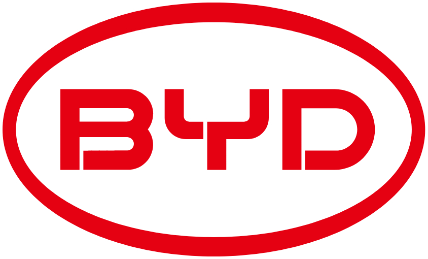 BYD Wing Mirrors