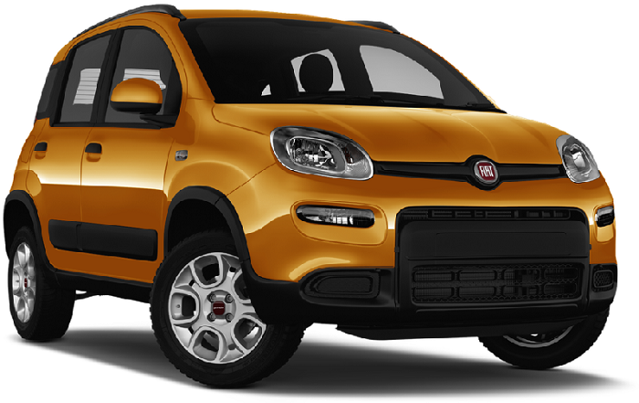 Fiat Panda Trekking SUV 2012-2018 (319)