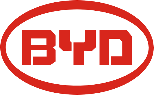 BYD Wing Mirror Indicators