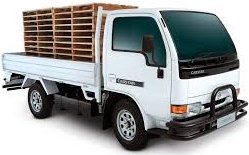 Nissan Cabstar Chassis Cab 1992-2006 (F23)