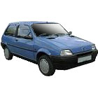 Rover Metro