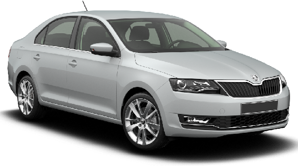 Skoda Rapid Wing Mirrors